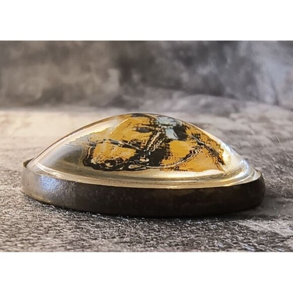 Antique Blue Ribbon Horse Bridle Button With Glass Dome & Brass Backing - Picture 4 of 4